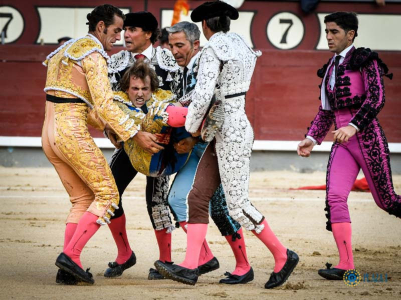 Espeluznante cornada a Román que corta una oreja al igual que Curro Díaz
