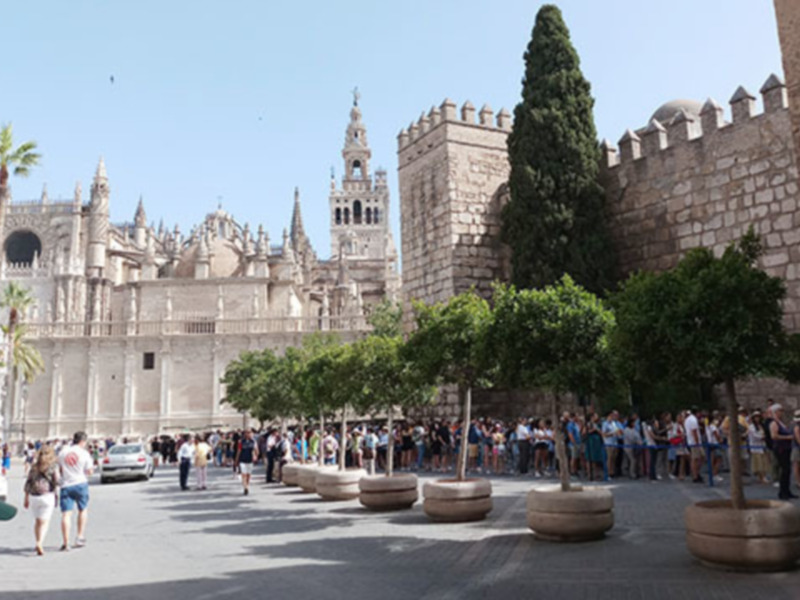 La OMS recomienda que las ciudades tengan, mínimo, 10 m2 de zona verde por habitante.