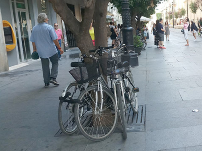 Urge una protección “real” del arbolado. en Sevilla