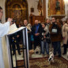 Fiesta de San Antón en la iglesia de San Roque con bendición de animales de  compañía.