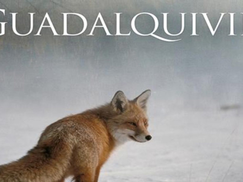 "Guadalquivir", el documental que recorre Cazorla, Sierra Morena y Doñana