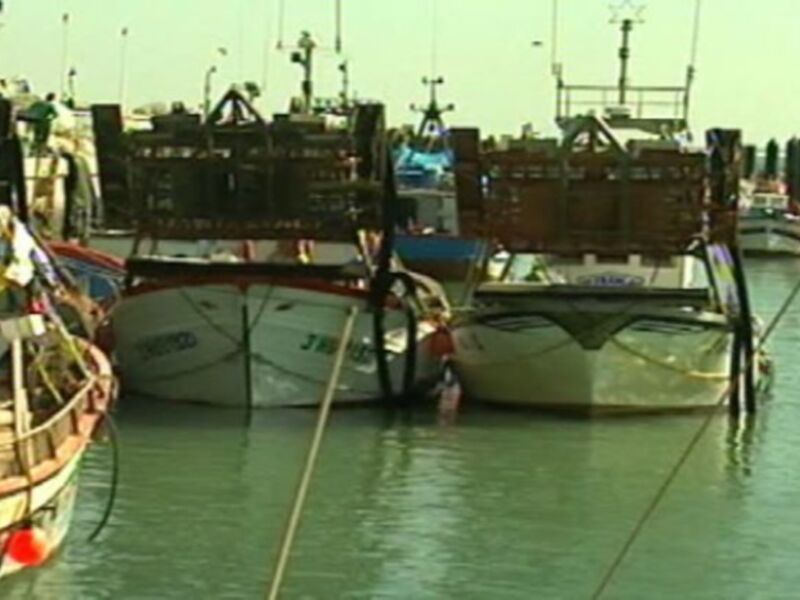 El Consejo Local de la Pesca de Chipiona retoma su actividad tras el parón provocado por la pandemia