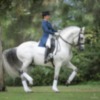 La Real Escuela Andaluza del Arte Ecuestre ofrece una exhibición extraordinaria con motivo del Día de la Merced