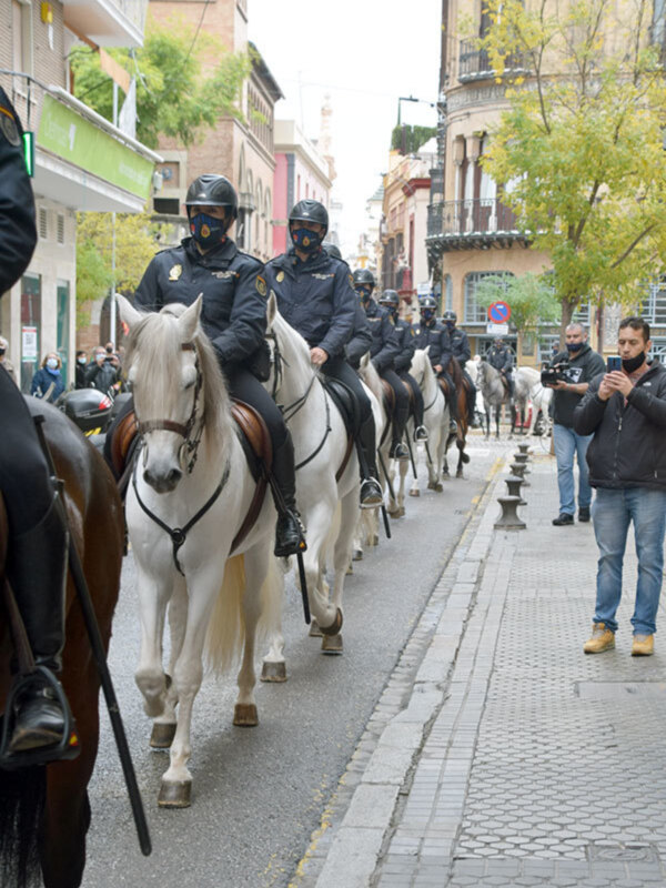 Entrega de alimentos de la Unidad de Caballería de la Policía Nacional al Ateneo con motivo de la campaña de la Solidaridad
