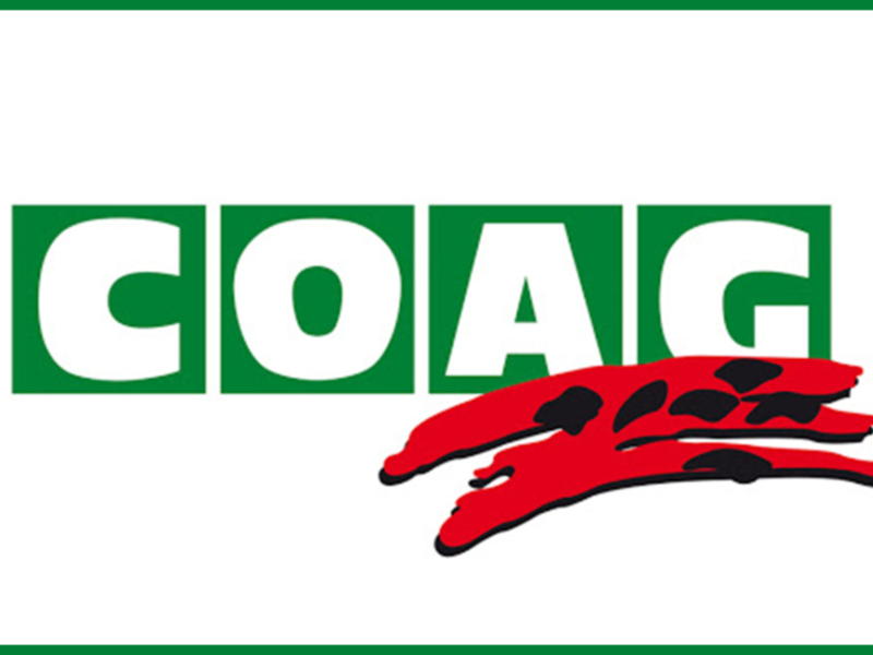Coag considera un alivio para el sector de la flor cortada la llegada de las ayudas por COVID