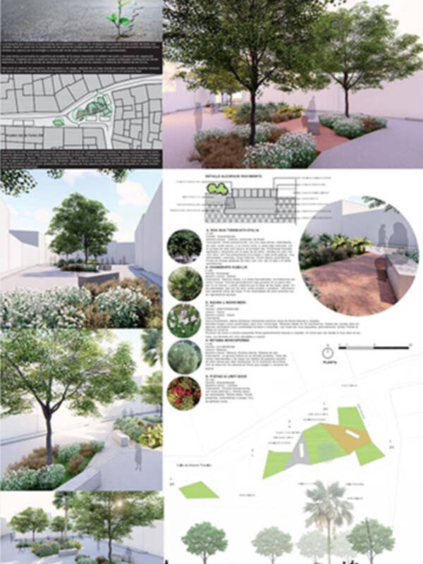 “Los sevillanos José Rodríguez y Gracia de la Lastra, ganadores del Primer Concurso Internacional de Jardinería y Paisajismo “Villa Botánica de Cañete