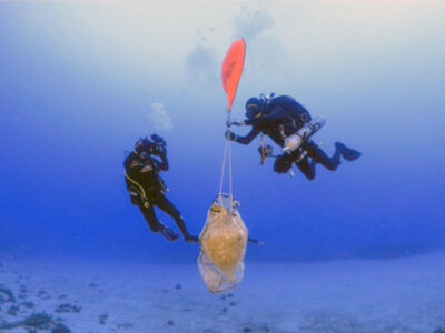 Rescatado un  naufragio de la época de los romanos con ánfora de aceite del Guadalquivir