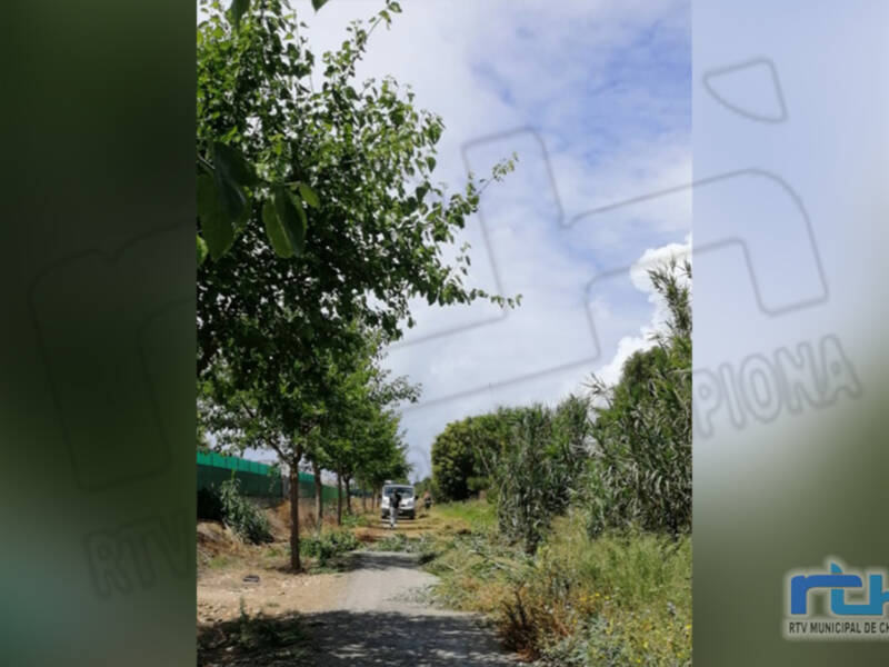 Tano Guzmán anuncia que la Delegación de Medio Ambiente está ejecutando trabajos de mantenimiento de la Vía Verde de Chipiona