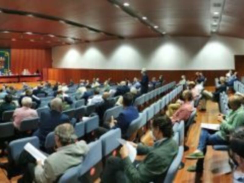 El Consejo de Cofradías de Sevilla amortiza la pérdida del dinero de las sillas y descarta el crédito