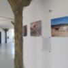 El Centro El Camaleón acoge la exposición fotográfica ‘Una historia de arena y sal’ sobre el Chorlitejo Patinegro 