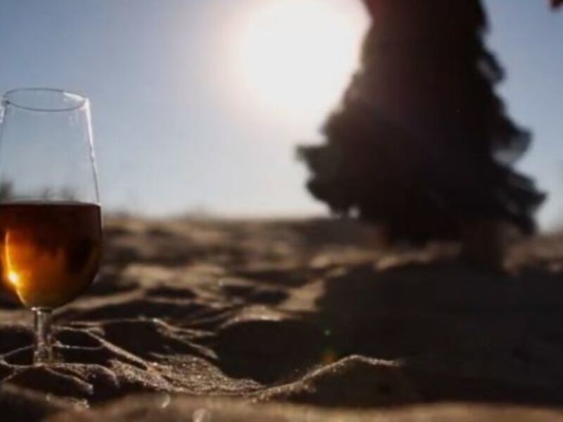 Un vaso de vino se coloca en el suelo seco, con un sol brillante en el fondo, iluminando la escena.