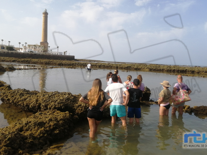 La Delegación de Turismo ha retomado esta semana las visitas guiadas a los corrales de pesquería de Chipiona 