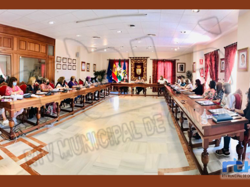 El Consejo Municipal de la Mujer establece el programa de actos del Día de la Mujer Rural y del Día Contra la Violencia hacia las Mujeres 