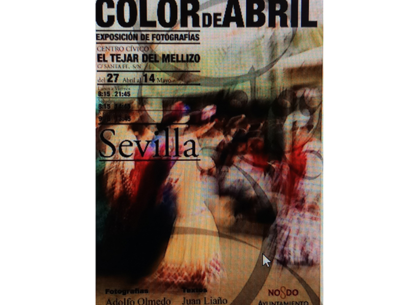 COLOR DE ABRIL Fotografías de Adolfo Olmedo