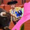 Toros de Zalduendo para Canales, Morante y Cortés en Villaluenga del Rosario, ante las cámaras de Canal Sur Televisión