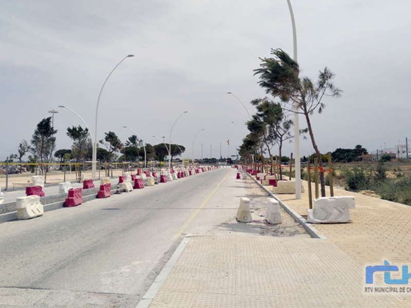 Medio Ambiente solicita a Puertos de Andalucía el trasplante del arbolado de la avenida Adolfo Suárez