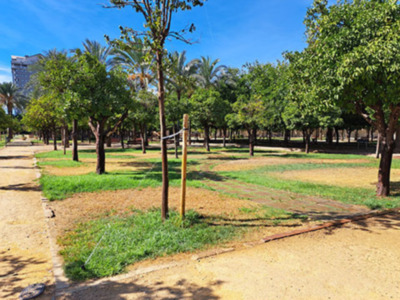 “Estado de abandono de los Jardines de la Buhaira, la esencia de la nueva jardinería hispano árabe en Sevilla”.