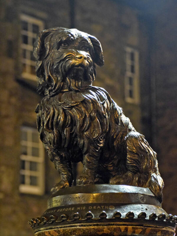 La historia de Bobby, el perro más famoso de Edimburgo.