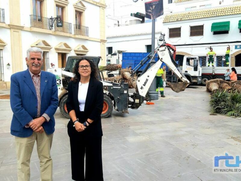 Parques y Jardines coordina los trabajos de plantación de 15 palmeras datileras que se están realizando hoy en la plaza Juan Carlos I 