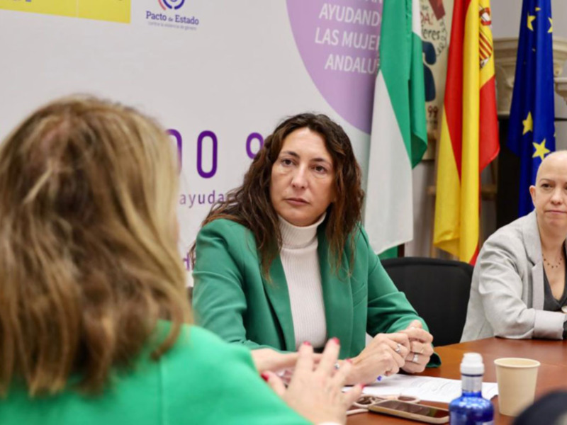 Loles López preside la reunión de balance de las comisiones contra la violencia de género.