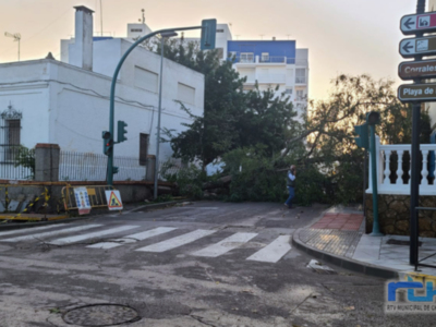 Avenidas y caminos cortados y muchos invernaderos y casi medio centenar de árboles afectados por el temporal de ayer en Chipiona