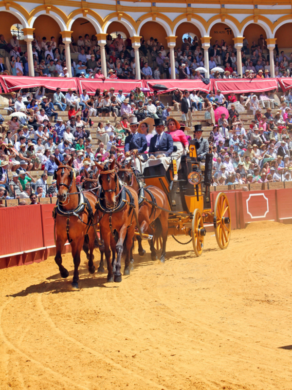 38 Exhibición de Enganches Sevilla 2024