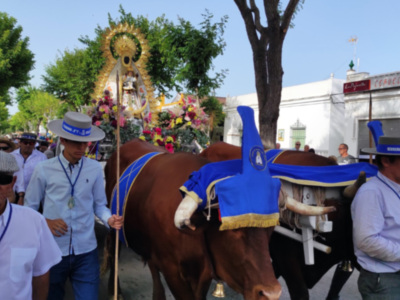 Multitudinaria Romería de la Virgen de Regla, a los Pinares de Chipiona(Cádiz)