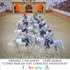 La Real Escuela Andaluza del Arte Ecuestre ofrece una exhibición el próximo sábado 1 de junio