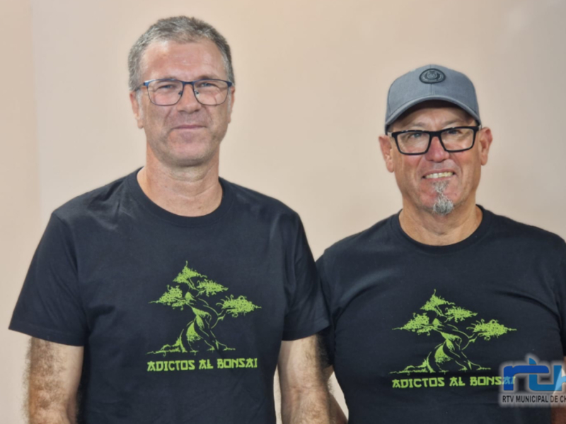 El Palacio de Ferias y Exposiciones acoge este fin de semana la séptima exposición ‘Adictos al bonsái’ con cincuenta composiciones inscritas