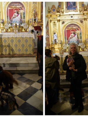  20 Años Celebrando San Antón: La Tradicional Bendición de Animales en la Calle Amparo