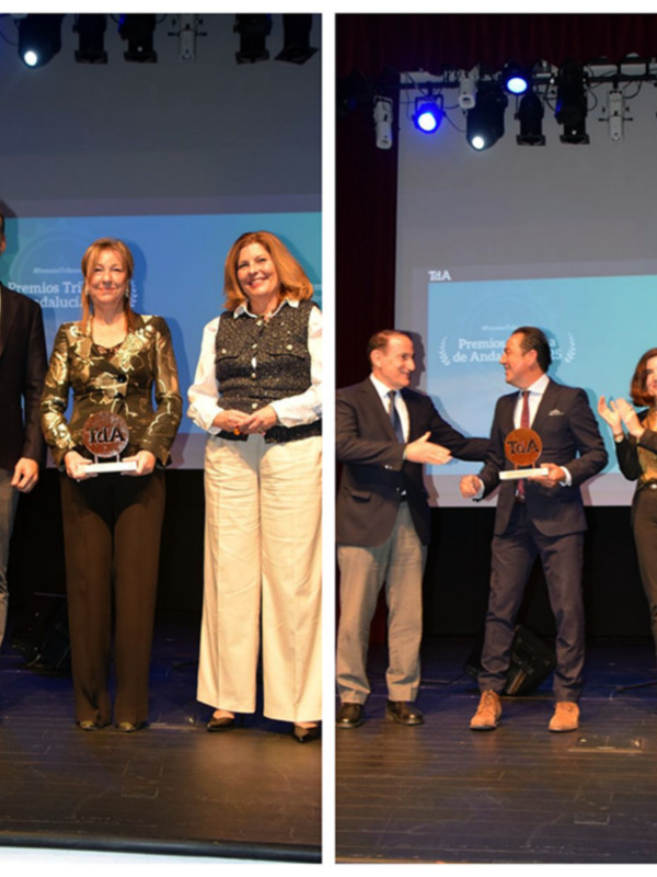 Andalucía premia la excelencia: Entrega de los Premios Tribuna en la Fundación Cajasol