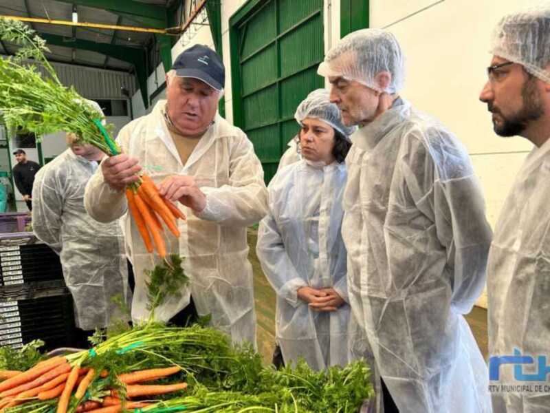 IU exige a la Junta de Andalucía que movilice ayudas urgentes para el sector agrícola y ganadero gaditano  