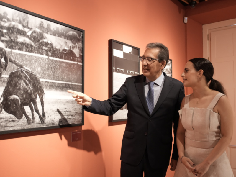 La Fundación Cajasol inaugura en Sevilla la exposición Tauromaquias de Sofía Torres Prida