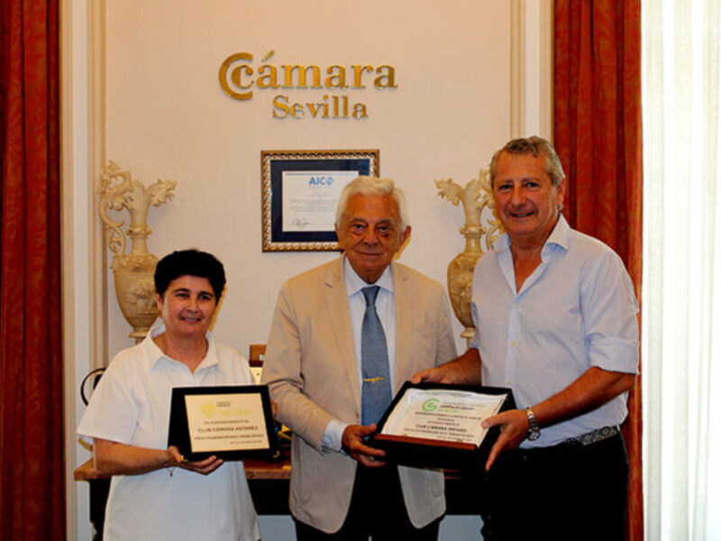  Éxito solidario, El Club Cámara dona 10.000 € a la AECC y la Fundación DePaul de Sevilla 