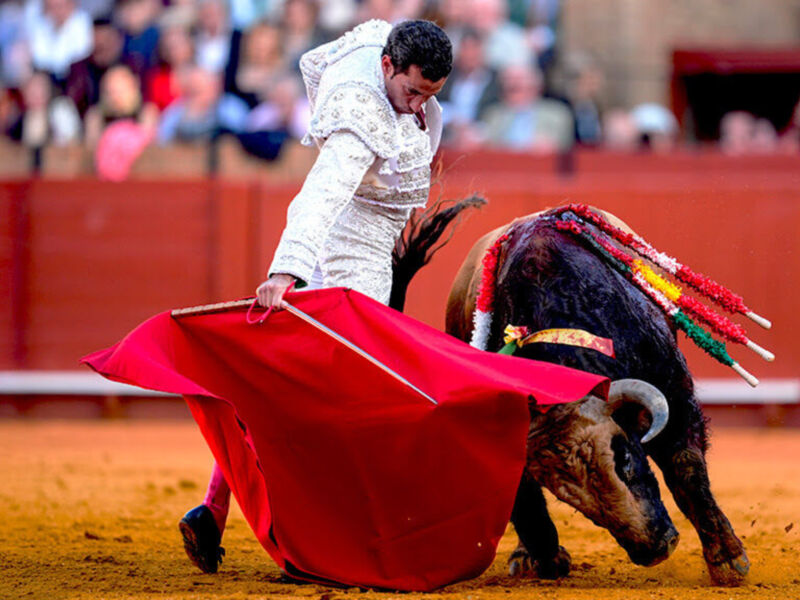 Un torero con un chaleco blanco y una capa roja en mano, lucha contra un toro negro en una plaza de toros. La arena es de color naranja y el público observa desde la grada.