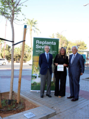 La Cámara de Comercio y el Ayuntamiento  de Sevilla refuerzan el patrimonio verde con 208 nuevos árboles
