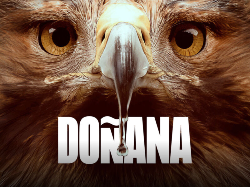 Un águila mira directamente a la cámara con un plumaje dorado y una lengua blanca. La imagen tiene el texto "DONANA" en blanco sobre la imagen del águila, y una marca de Movistar+ en el extremo derecho.