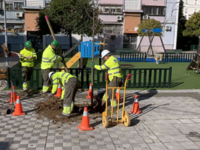 San Pablo,Santa Justa suma 367 nuevos árboles dentro de la mayor campaña de plantación de la historia de Sevilla