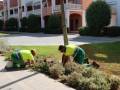 Parques y Jardines intensifica la puesta a punto de las zonas verdes para la Feria de Consolación 2026