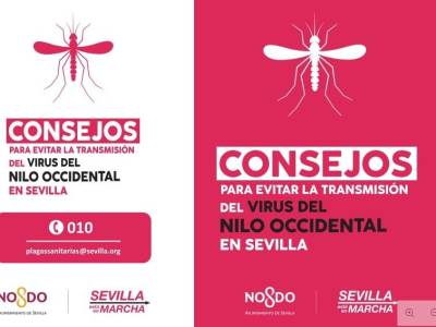  Sevilla refuerza la prevención frente al virus del Nilo con una nueva campaña informativa en las farmacias 